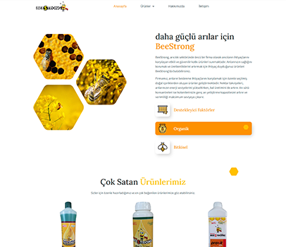 portfolio image